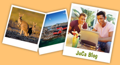 JuCa Blog